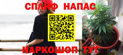 винт Будённовск